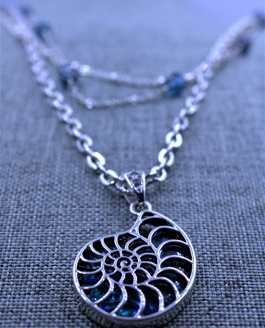 Sea Shell